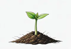 germination